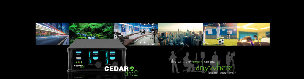 CEDAR Audio DNS 2 wide header image